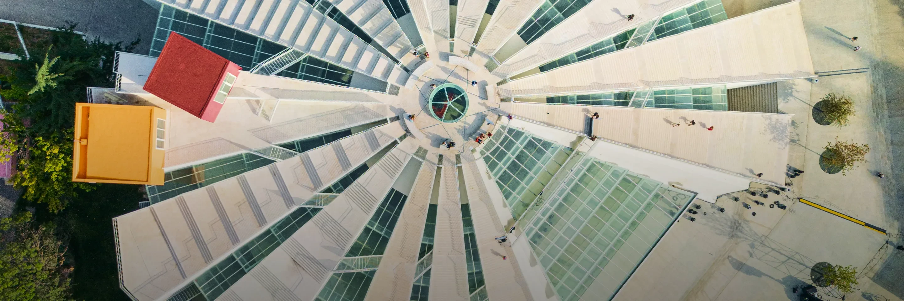 Center of Life