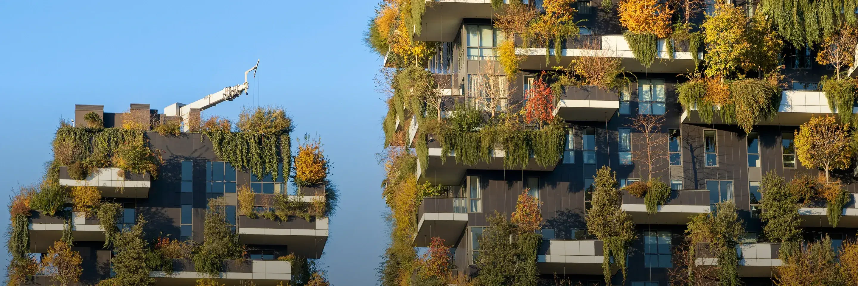 Climate Mitigation