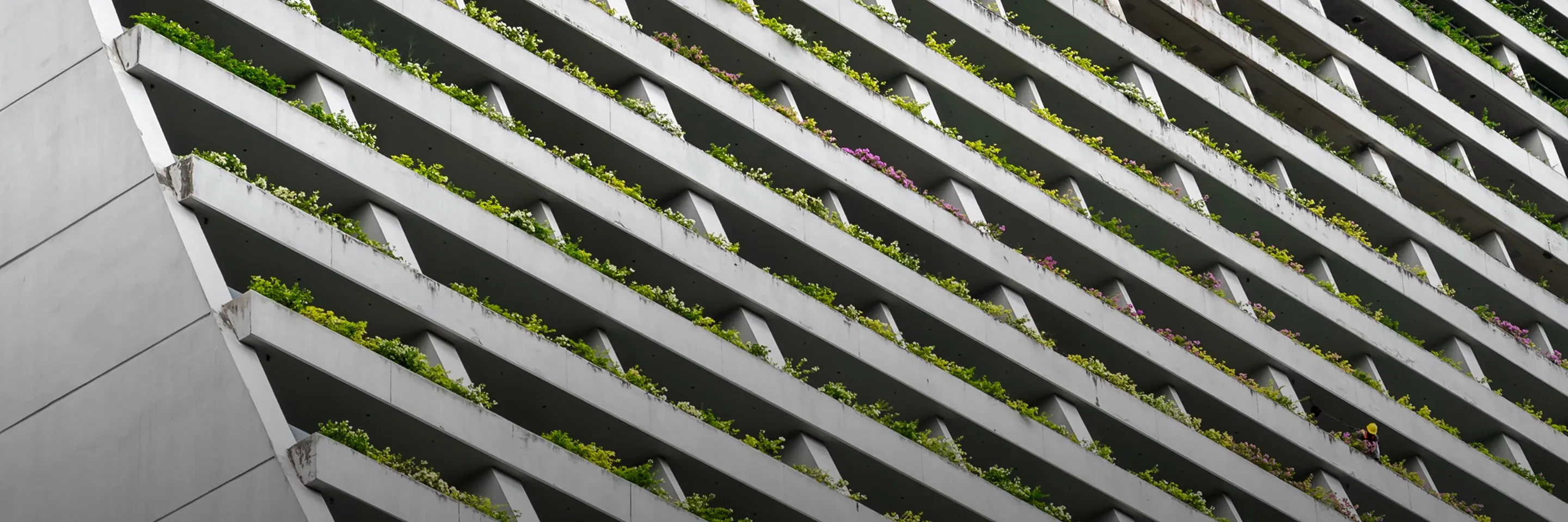 Sustainability Finance