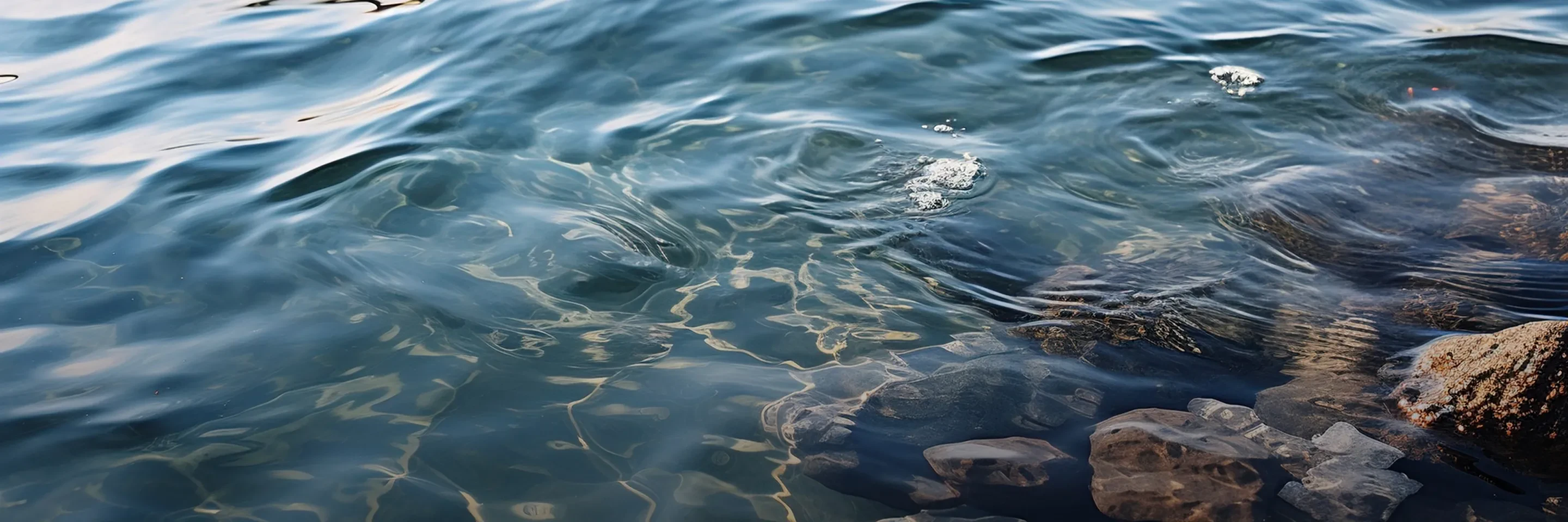 Water and Wastewater