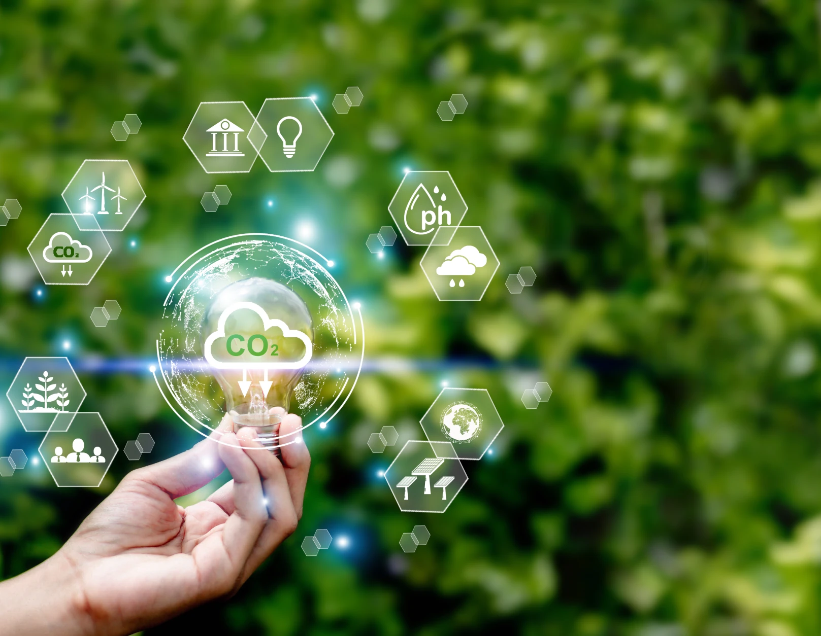 Upgrading the Value Chain and Carbon Management Scope 3 (Value Chain Resilience)