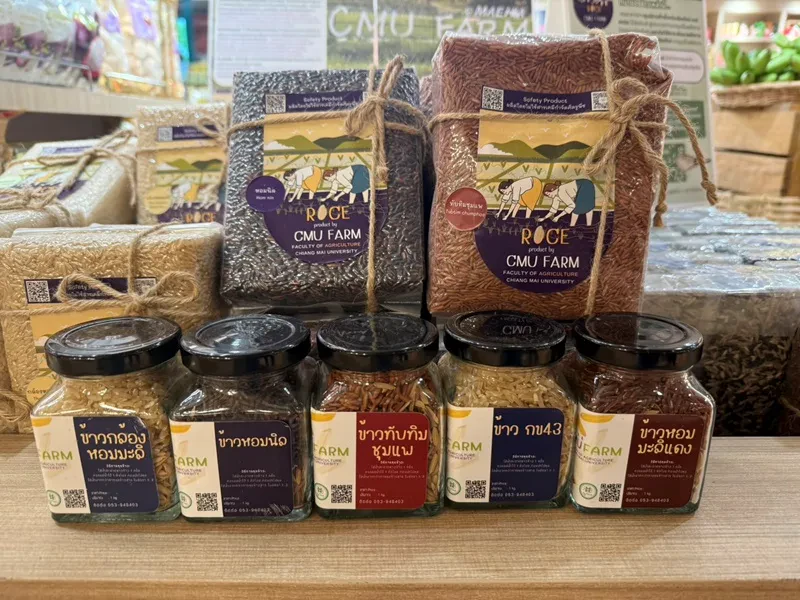 Central Pattana reaffirms its leadership toward Net Zero 2050, partnering with Chiang Mai University and key Allies to drive sustainovation and transform research into social impact